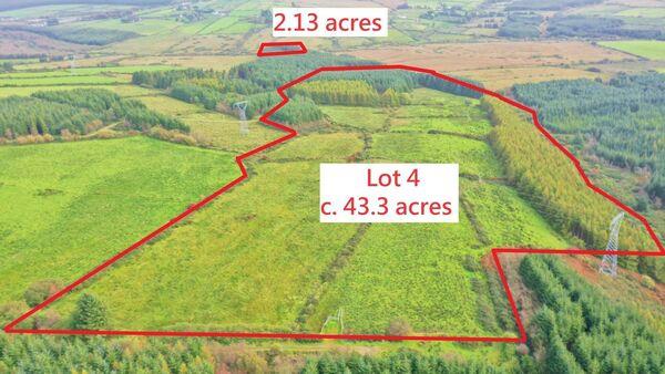 61-acre Kerry farm in 4 lots receiving offers